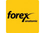 Forex anatomic